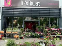 Lilas Flowers